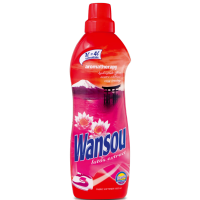 WANSOU 1L LOTOS AVIV koncetrt 1l = 4l