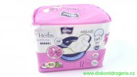 VLOKY BELLA HERBS VERBENA 12KS